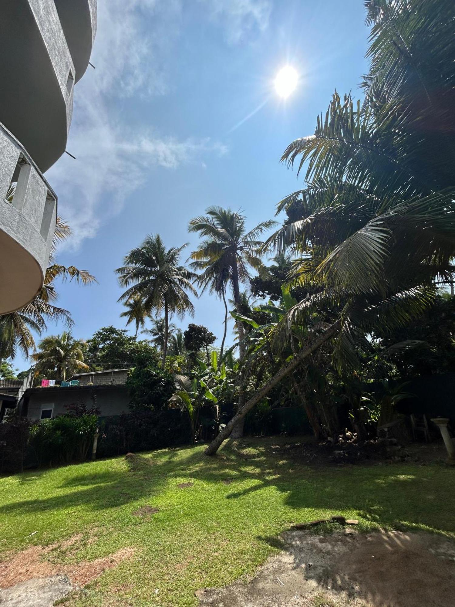 White House & Sea Food Restaurant Hostel Hikkaduwa Exterior photo